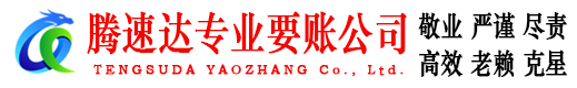 修水要账公司